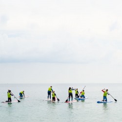 Stand Up Paddle Boarding (SUP) near Me