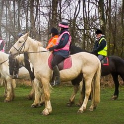 Horse Riding Nottingham
